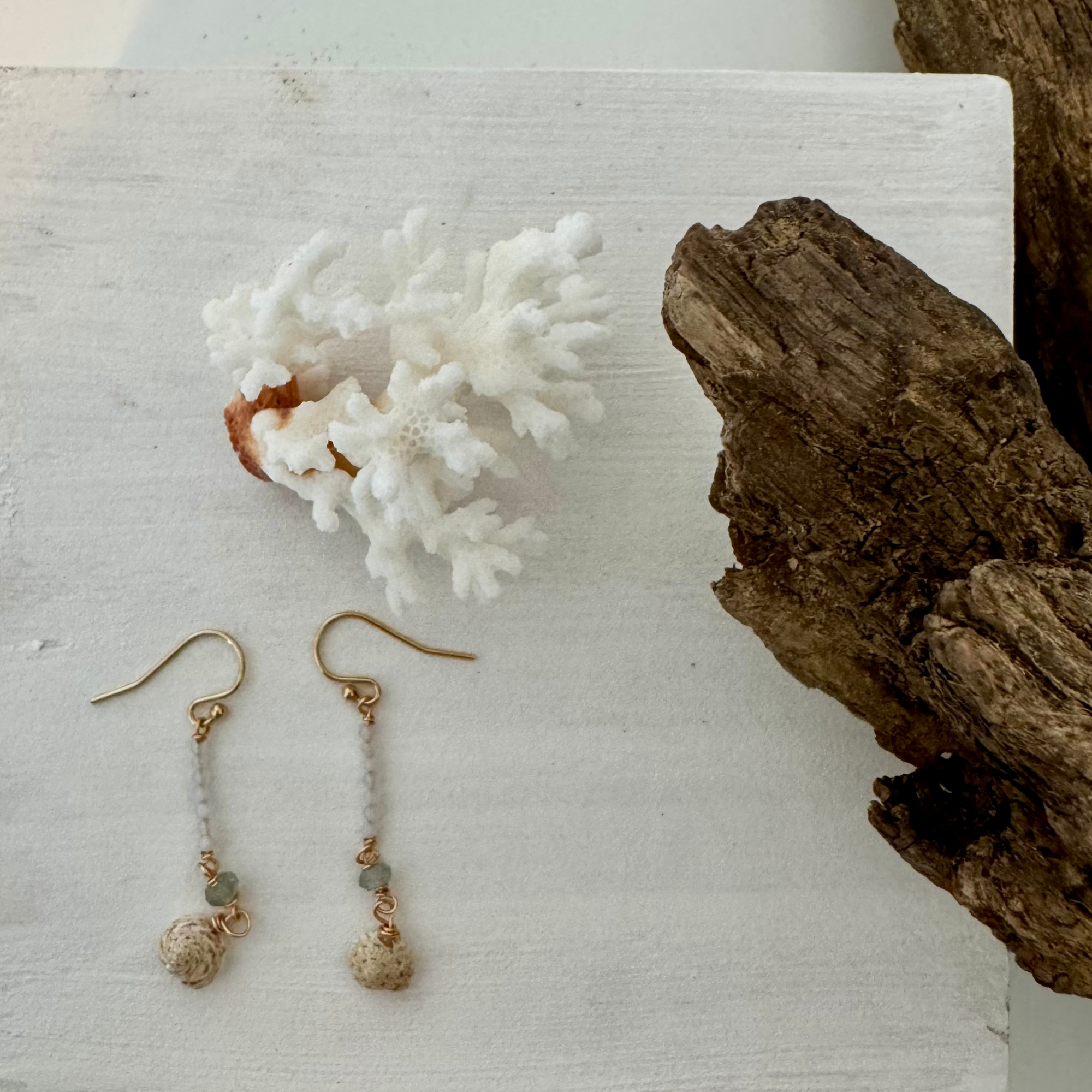 Feelin' Crabby Seashell Dangle Earrings