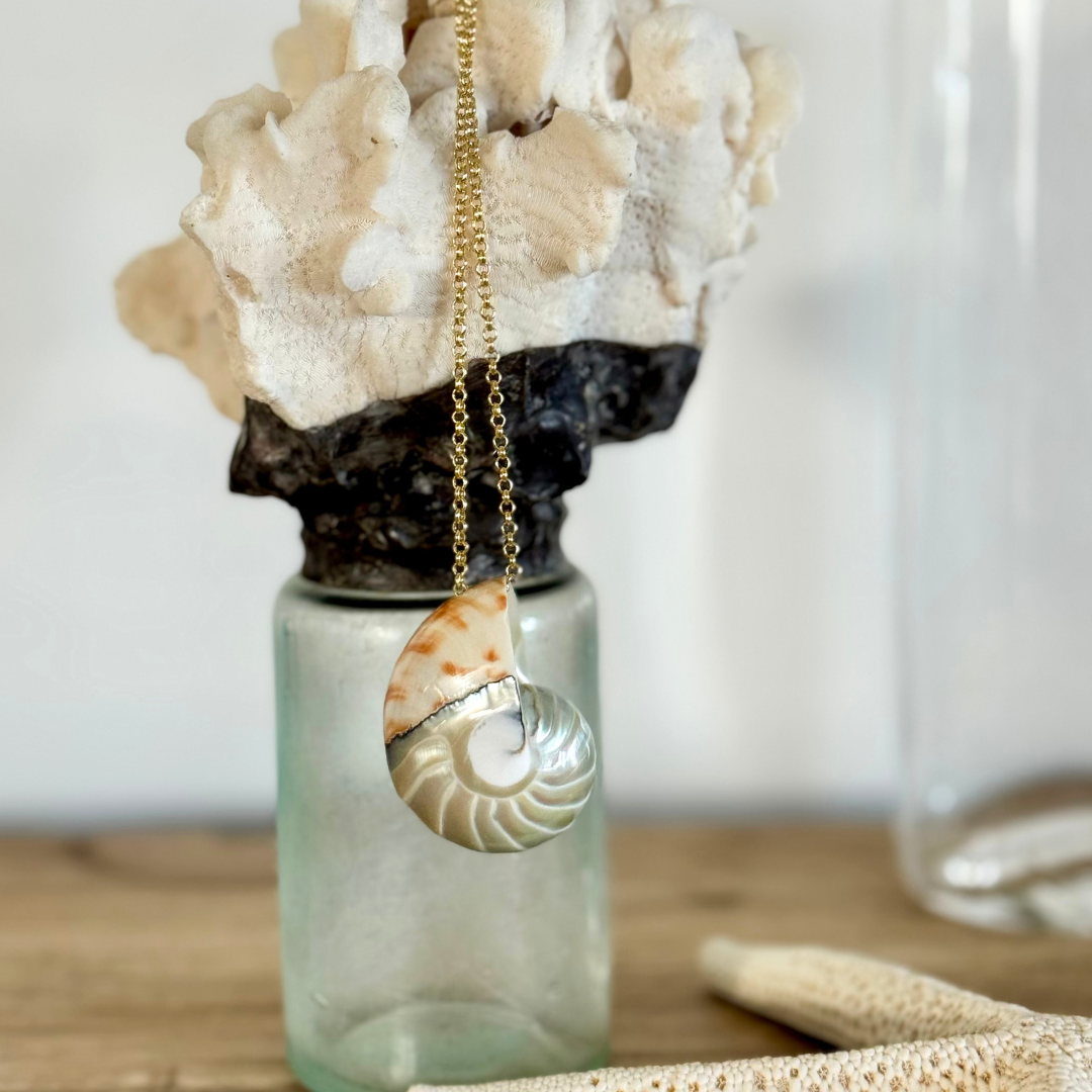 Genuine nautilus shell centerpiece pendant with moss aquamarine pearl accent handcrafted with 14k gold-filled chain and wire. Displayed hanging from creamy white and black coral atop a seafoam aqua glass jar display bottle. Starfish in lower right foreground, highlighting the orange, cream, silver, and tan colors throughout the nautilus shell.