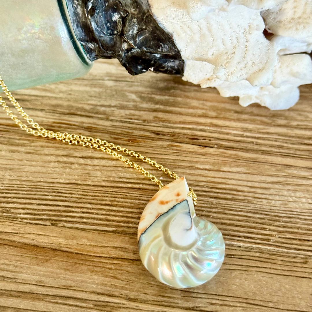 Genuine nautilus shell centerpiece pendant with 14k gold-filled chain and wire. Displayed against warm beachy wood surface. Shiny surface of shell reflects warm lights and colors from surroundingds.