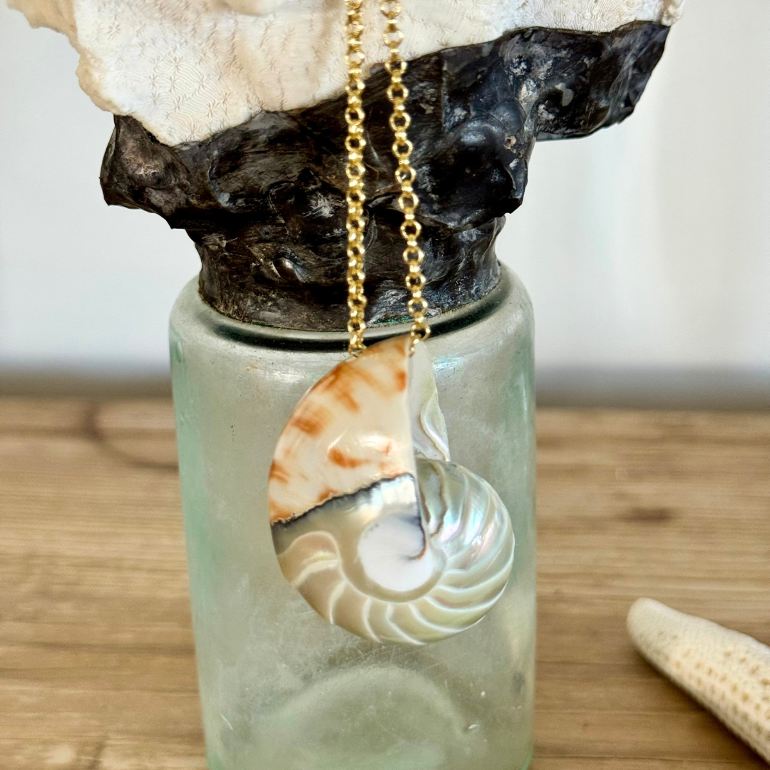 Genuine nautilus shell centerpiece pendant with moss aquamarine pearl accent handcrafted with 14k gold-filled chain and wire. Displayed hanging from creamy white and black coral atop a seafoam aqua glass jar display bottle.