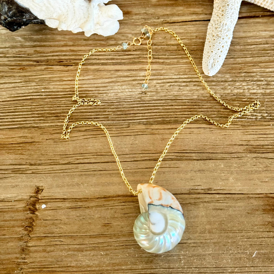 Feelin' Nauti Shell on Gold Chain Necklace