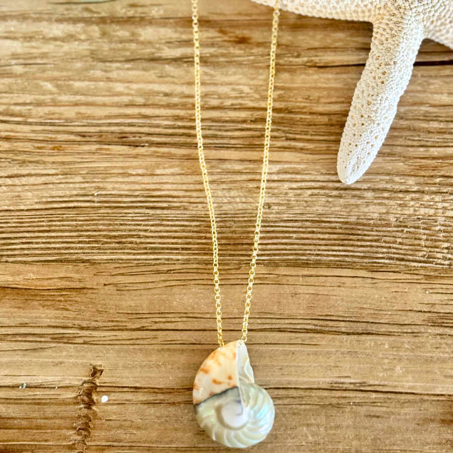 Feelin' Nauti Shell on Gold Chain Necklace