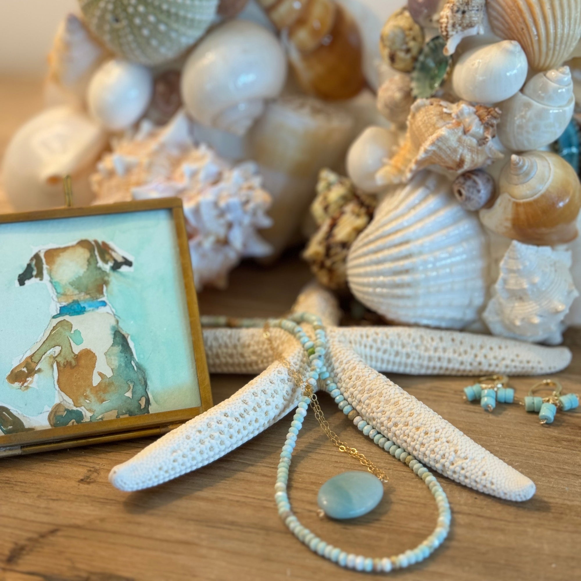 Decorative display of seashells and coral on a wooden surface with a framed picture of a dog.