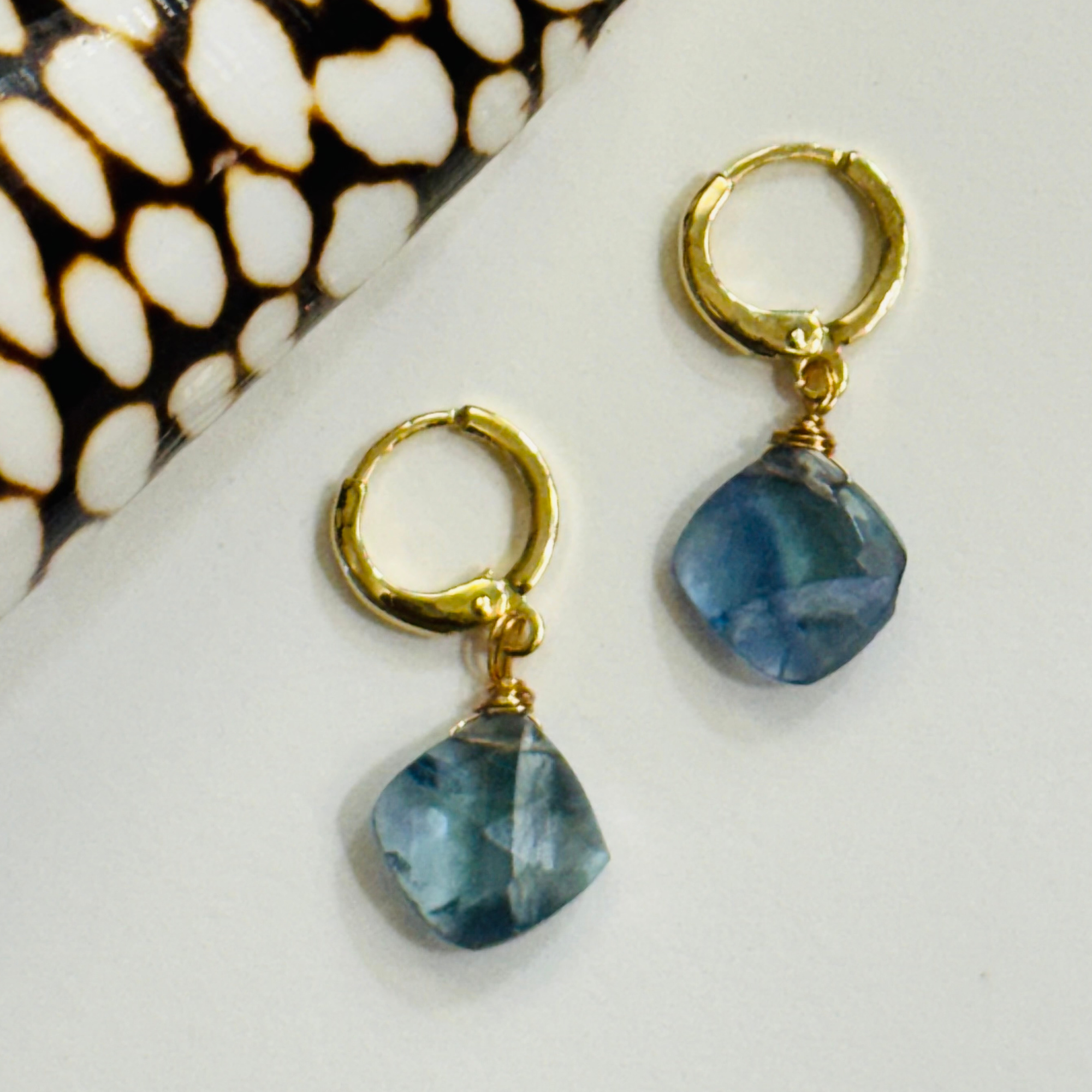 A pair of earrings with a genuine teal fluorite gemstone on each 14k gold filled huggie hoop is displayed on a white background and framed by a white-spotted brown seashell.