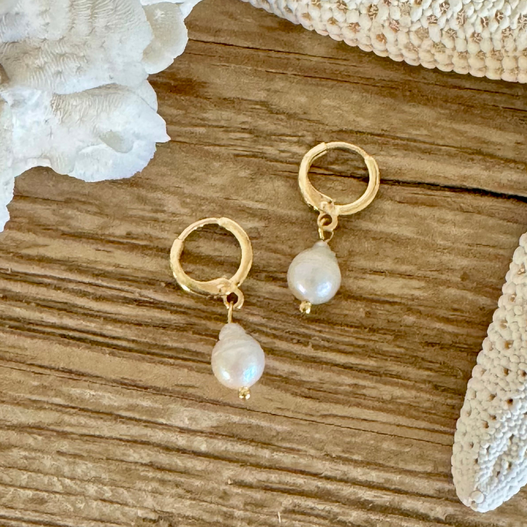 Pair of earrings with a single teardrop pearl on each hoop handcrafted with 14k gold-filled wire huggie clasp. Displayed between creamy white coral and starfish on a beachy wood grain surface.