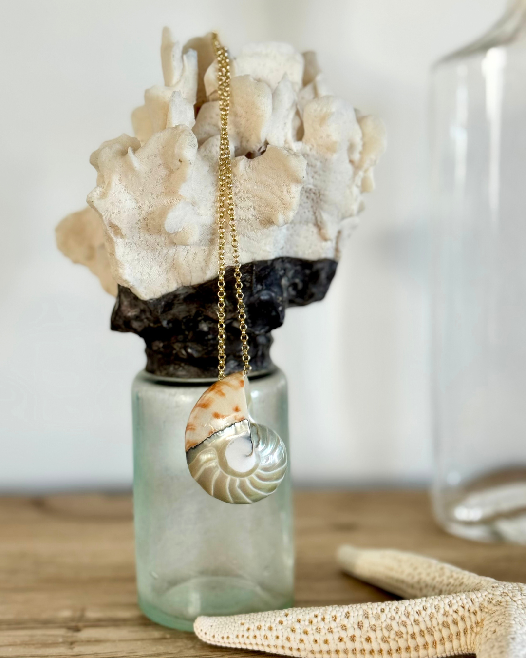 Feelin' Nauti Shell on Gold Chain Necklace