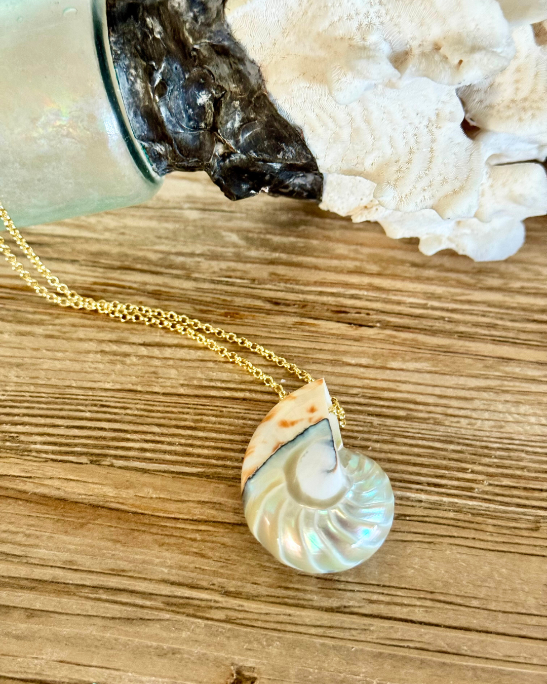 Feelin' Nauti Shell on Gold Chain Necklace