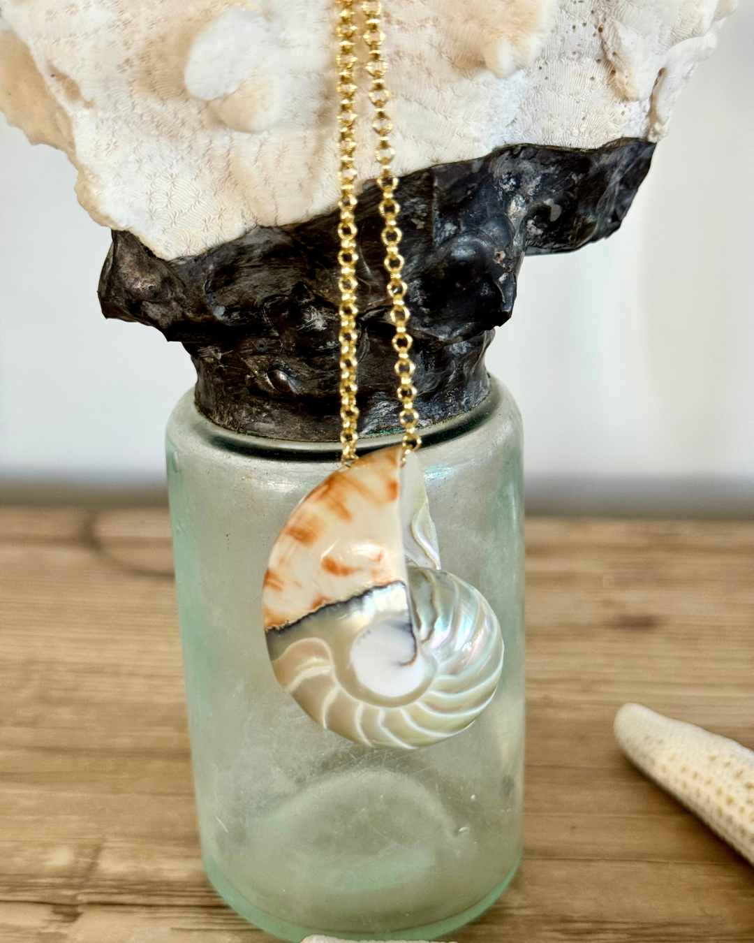 Feelin' Nauti Shell on Gold Chain Necklace