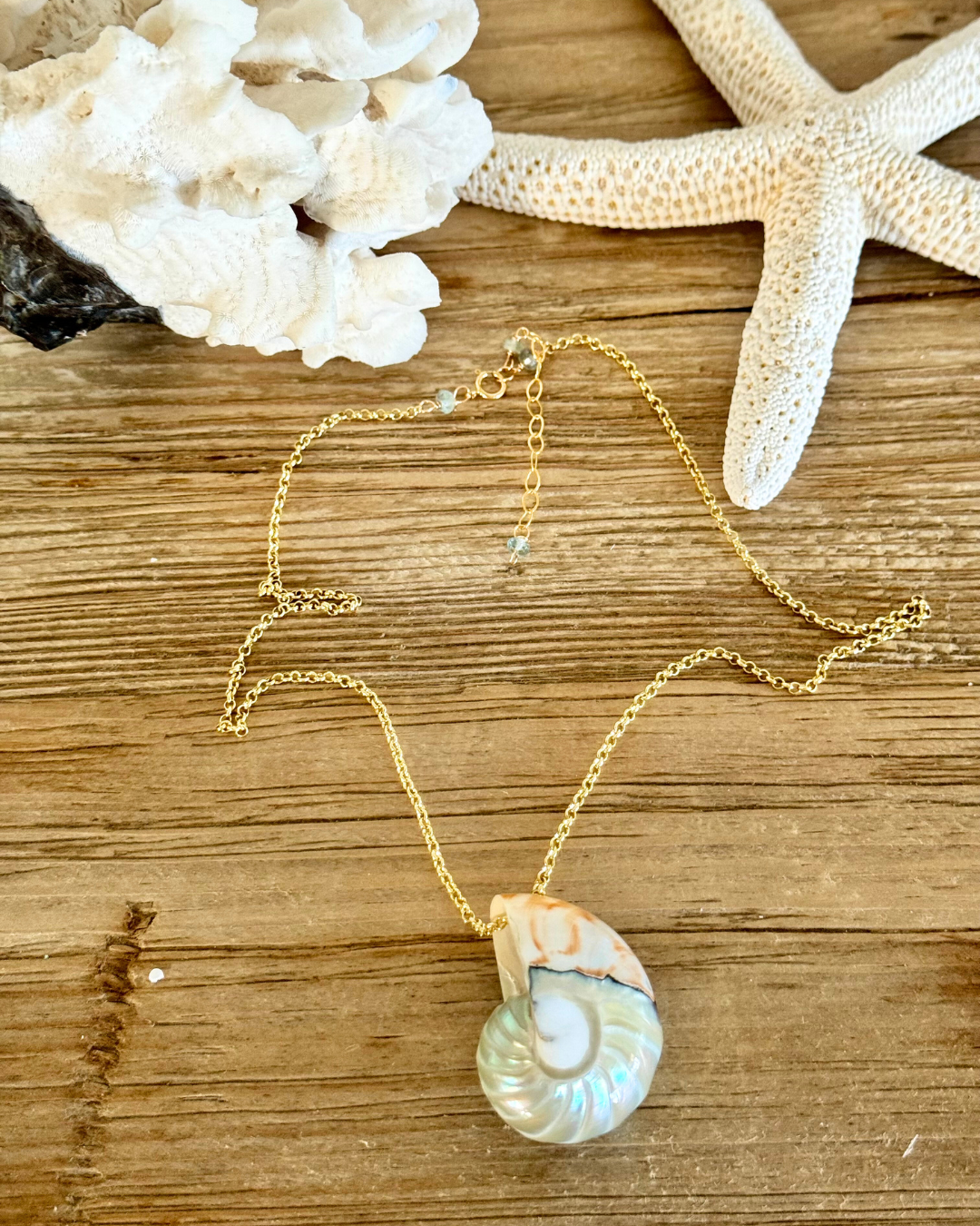 Feelin' Nauti Shell on Gold Chain Necklace