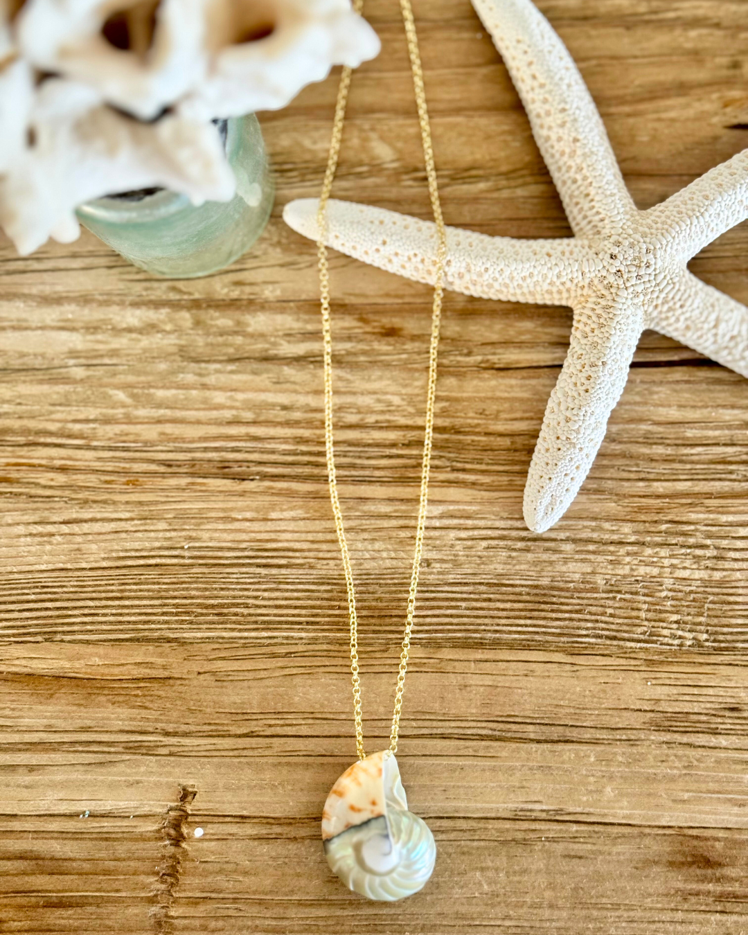 Feelin' Nauti Shell on Gold Chain Necklace